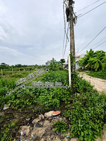 Bất động sản tại Bình Dương - ảnh 1