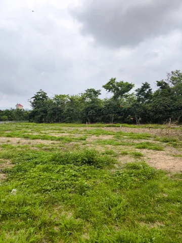 Bất động sản tại Bắc Ninh - ảnh 1