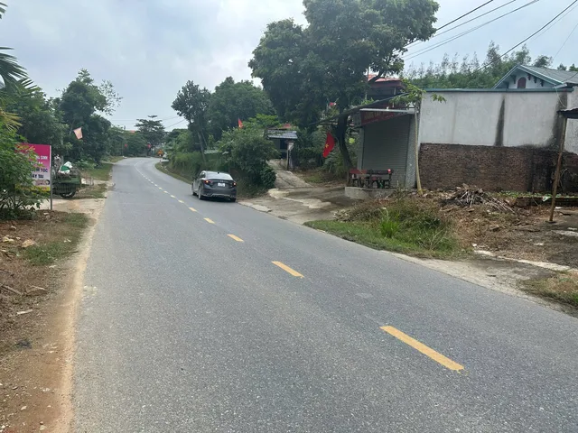Bất động sản tại Phú Thọ - ảnh 1