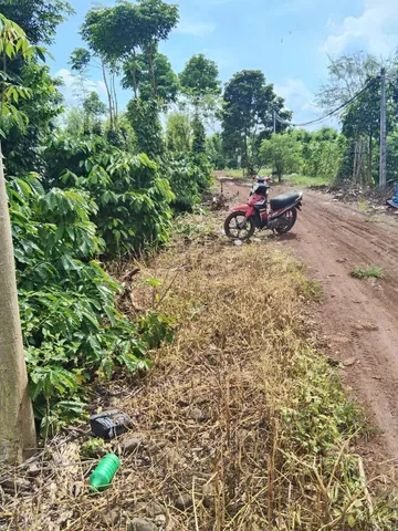 Bất động sản tại Đắk Lắk - ảnh 1