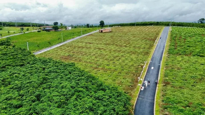 Bất động sản tại Lâm Đồng - ảnh 1
