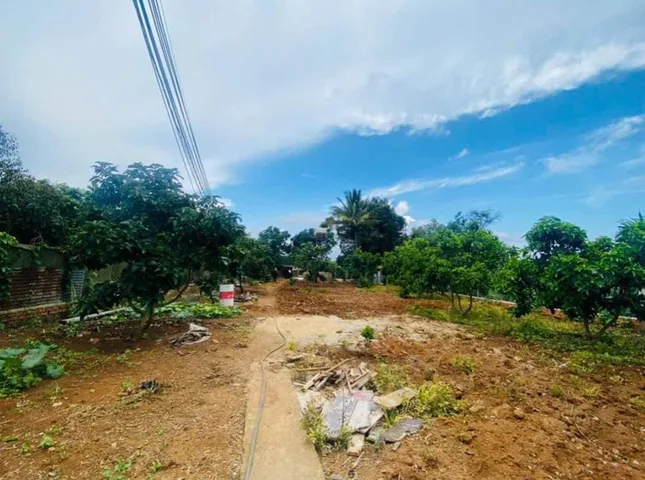 Bất động sản tại Lâm Đồng - ảnh 1