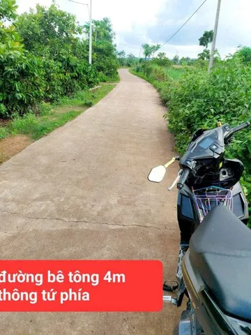 Bất động sản tại Đắk Lắk - ảnh 1
