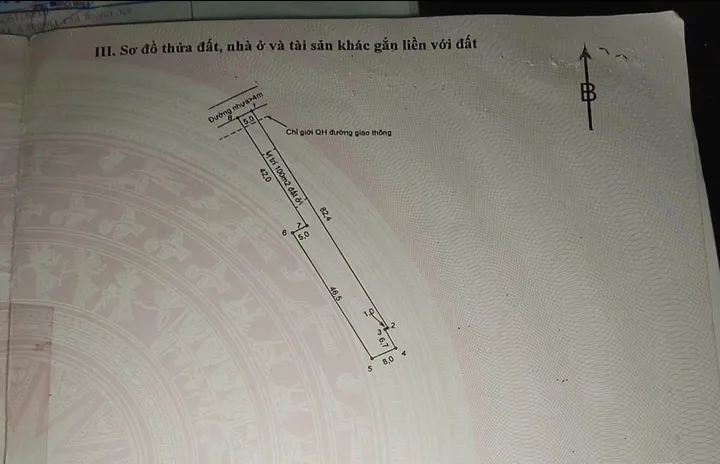 Bất động sản tại Bà Rịa - Vũng Tàu - ảnh 1