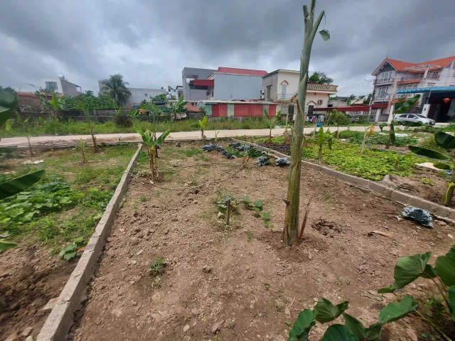 Bất động sản tại Hải Phòng - ảnh 1