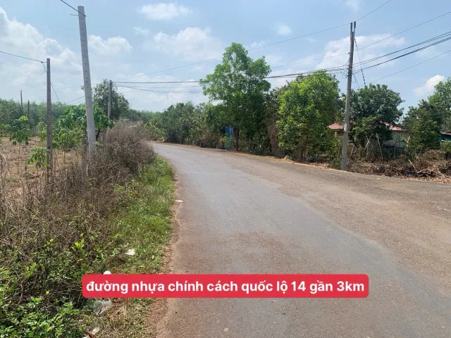 Bất động sản tại Bình Phước - ảnh 1