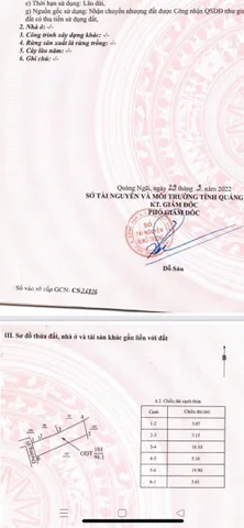 Bất động sản tại Quảng Ngãi - ảnh 1
