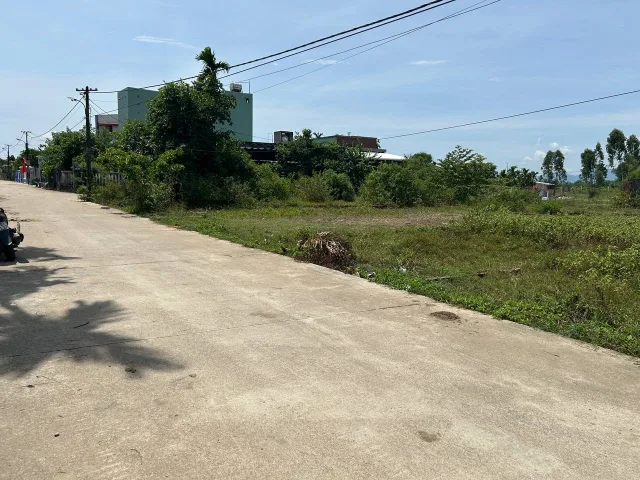 Bất động sản tại Đà Nẵng - ảnh 1