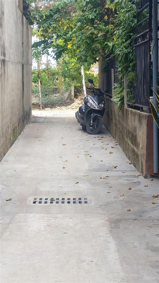 Bất động sản tại Đà Nẵng - ảnh 1