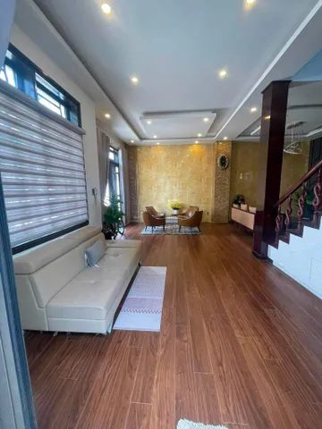 Bất động sản tại Đà Nẵng - ảnh 1