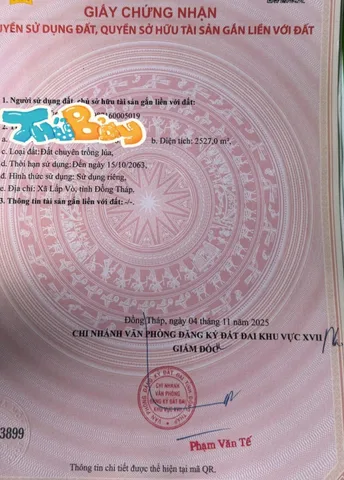 Bất động sản tại Đồng Tháp - ảnh 1