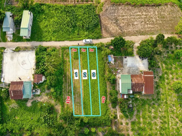 Bất động sản tại Đắk Lắk - ảnh 1
