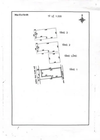 Bất động sản tại Đà Nẵng - ảnh 1