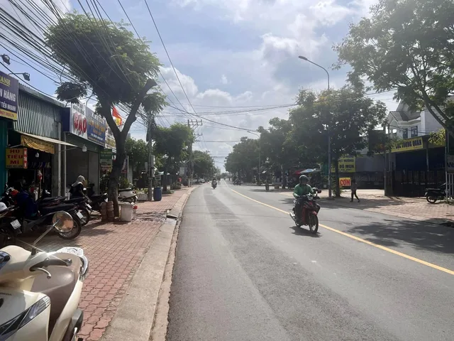 Bất động sản tại Bình Dương - ảnh 1