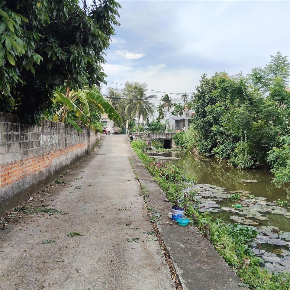 Bất động sản tại Hải Phòng - ảnh 1