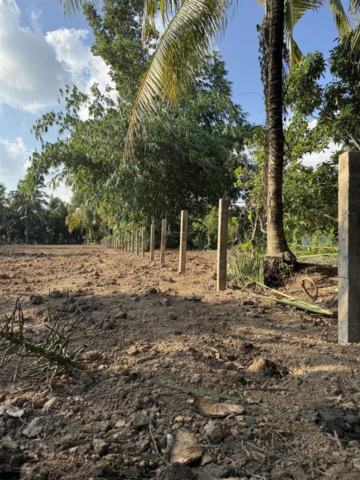 Bất động sản tại Tiền Giang - ảnh 1