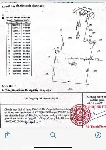 Bất động sản tại Bình Dương - ảnh 1