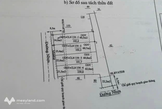 Bất động sản tại Bình Dương - ảnh 1