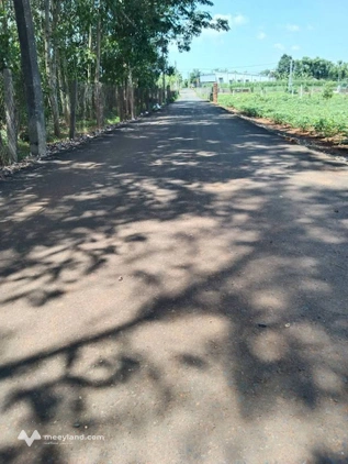 Bất động sản tại Bà Rịa - Vũng Tàu - ảnh 1