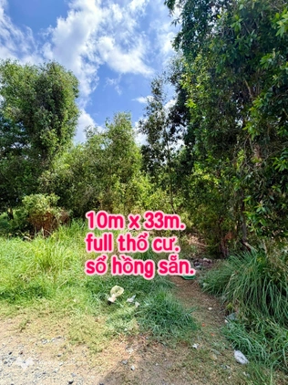 Bất động sản tại Long An - ảnh 1