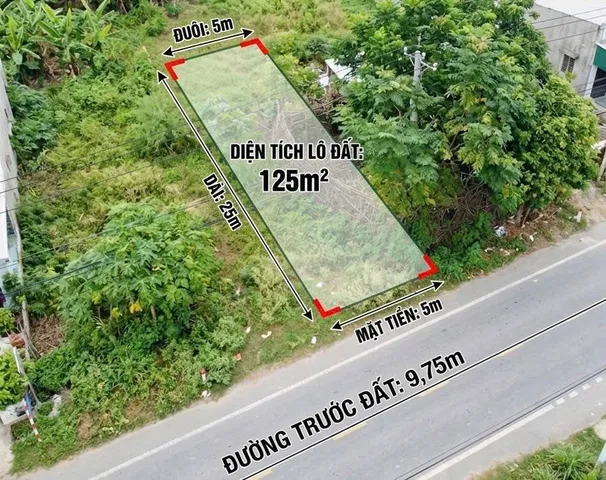 Bất động sản tại Hải Phòng - ảnh 1