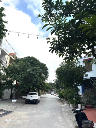 Bất động sản tại Hải Phòng - ảnh 1