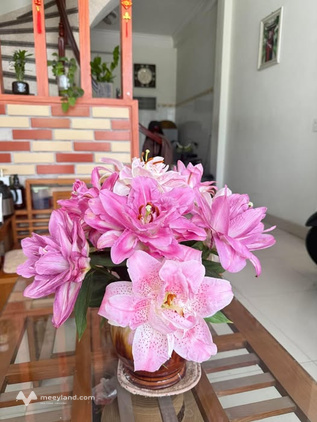 Bất động sản tại Thái Bình - ảnh 1