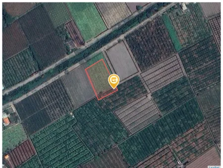 Bất động sản tại Long An - ảnh 1