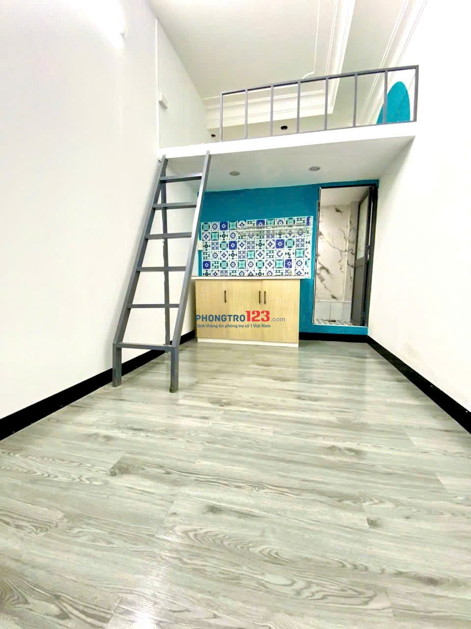 Bất động sản tại TP. Hồ Chí Minh - ảnh 1