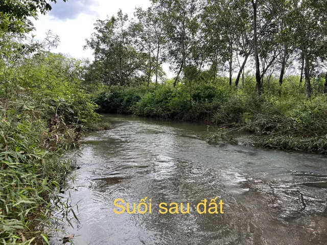 Bất động sản tại Bà Rịa - Vũng Tàu - ảnh 1