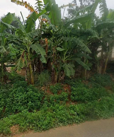 Bất động sản tại Lâm Đồng - ảnh 1