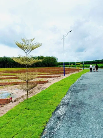 Bất động sản tại Đồng Nai - ảnh 1