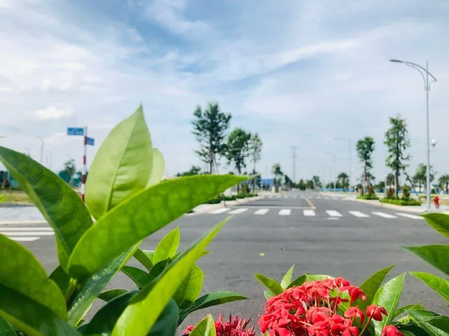 Bất động sản tại Đồng Nai - ảnh 1