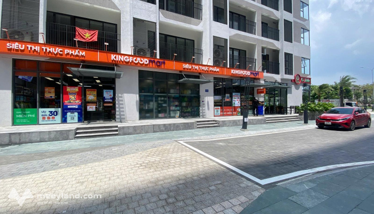 Bất động sản tại TP. Hồ Chí Minh - ảnh 1