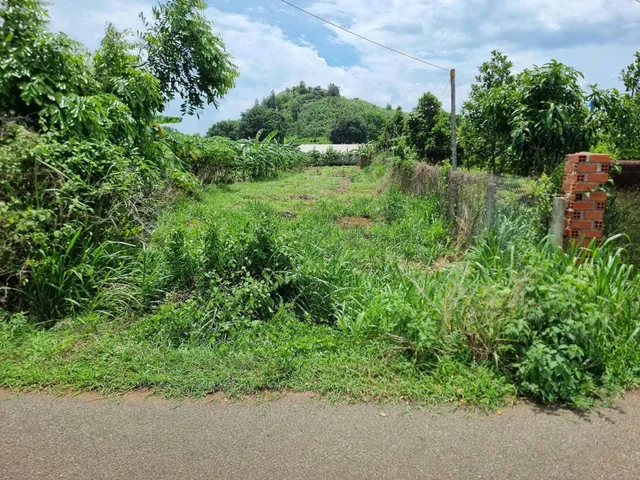 Bất động sản tại Bà Rịa - Vũng Tàu - ảnh 1