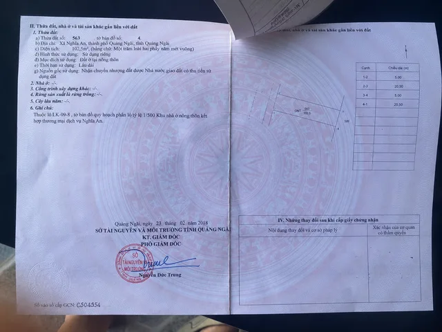 Bất động sản tại Quảng Ngãi - ảnh 1