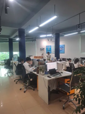 Bất động sản tại Bình Dương - ảnh 1