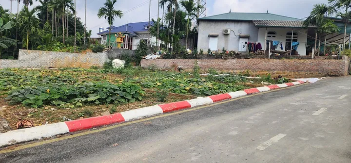 Bất động sản tại Phú Thọ - ảnh 1