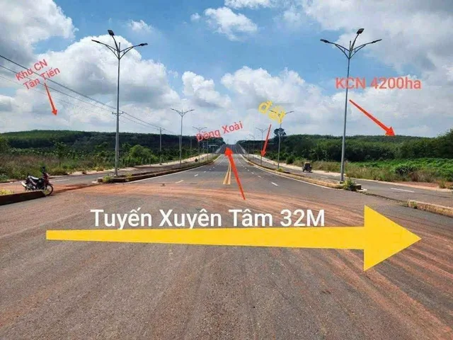 Bất động sản tại Đồng Nai - ảnh 1