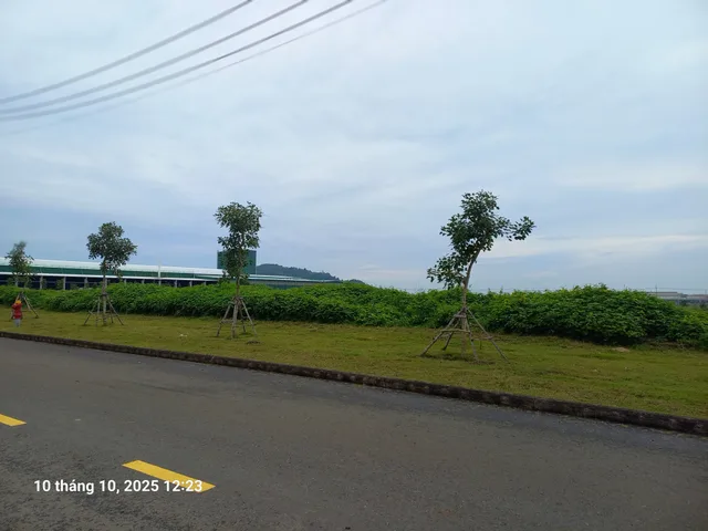 Bất động sản tại TP. Hồ Chí Minh - ảnh 1