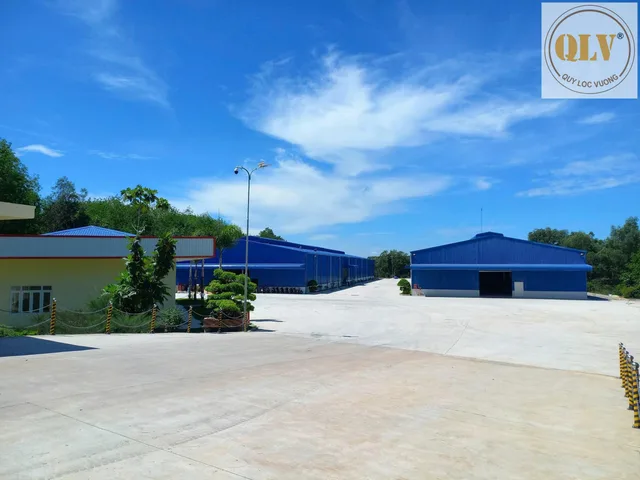 Bất động sản tại Bình Dương - ảnh 1