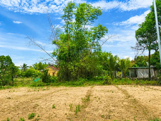 Bất động sản tại Đà Nẵng - ảnh 1