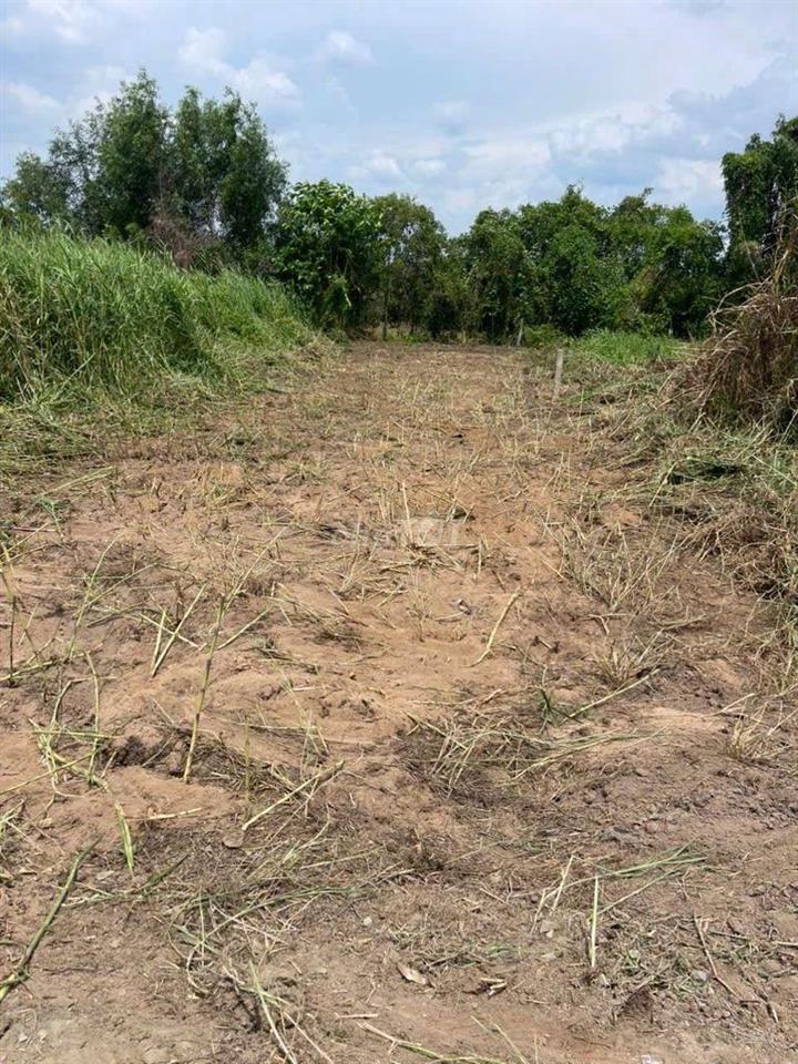Bất động sản tại Long An - ảnh 1