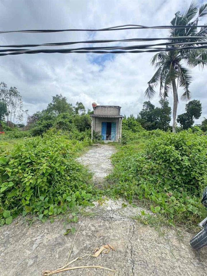 Bất động sản tại Long An - ảnh 1