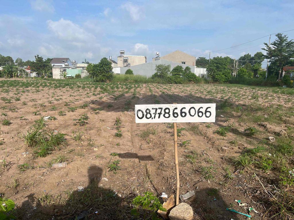 Bất động sản tại Bà Rịa - Vũng Tàu - ảnh 1