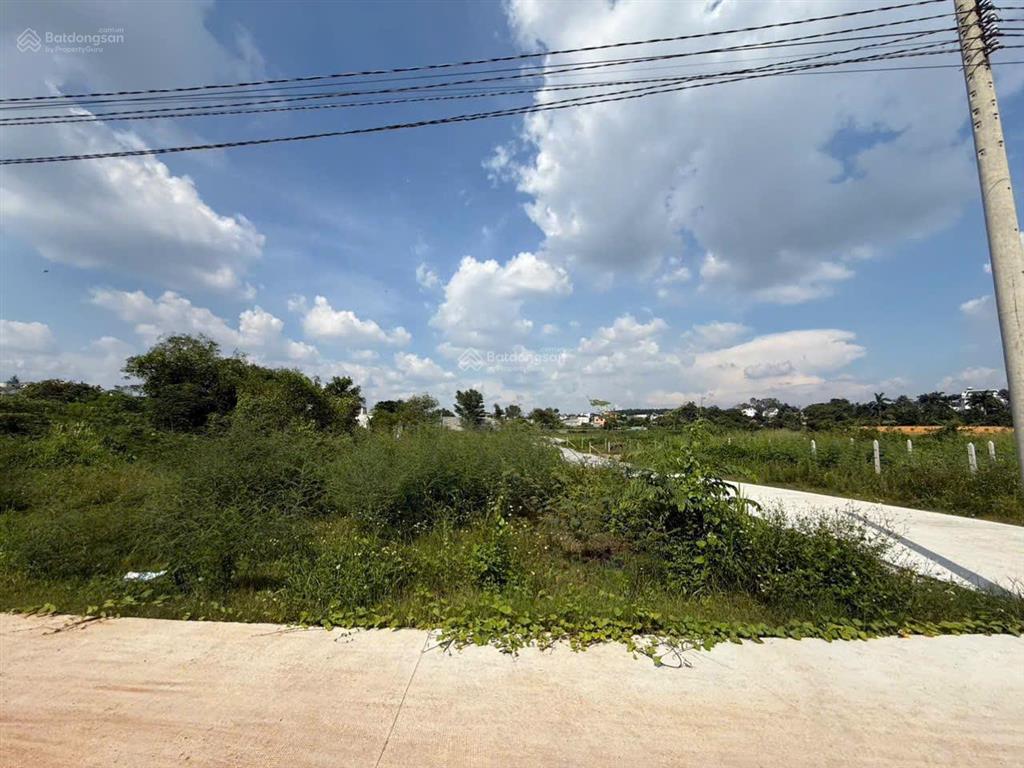 Bất động sản tại Bình Dương - ảnh 1