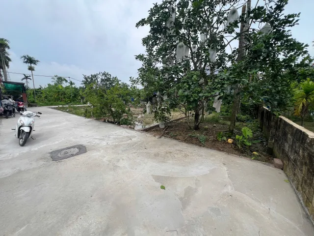 Bất động sản tại Hải Phòng - ảnh 1