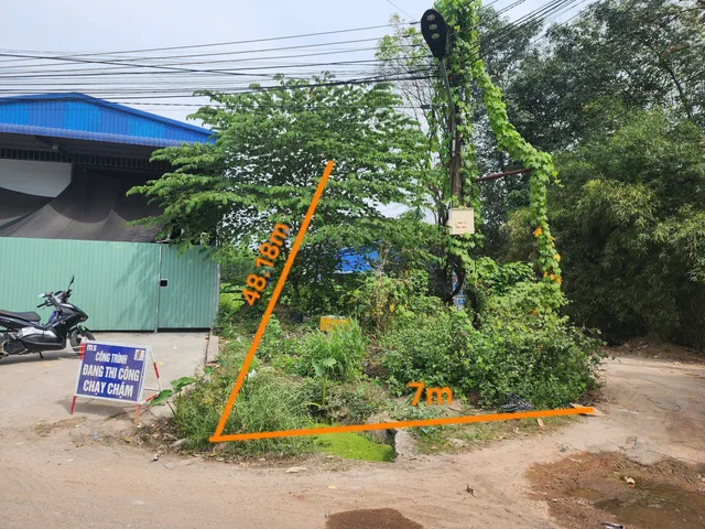 Bất động sản tại Bình Dương - ảnh 1