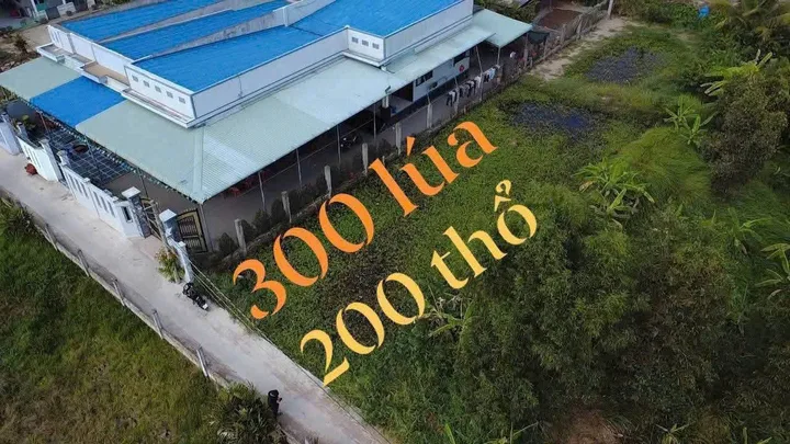 Bất động sản tại Tây Ninh - ảnh 1