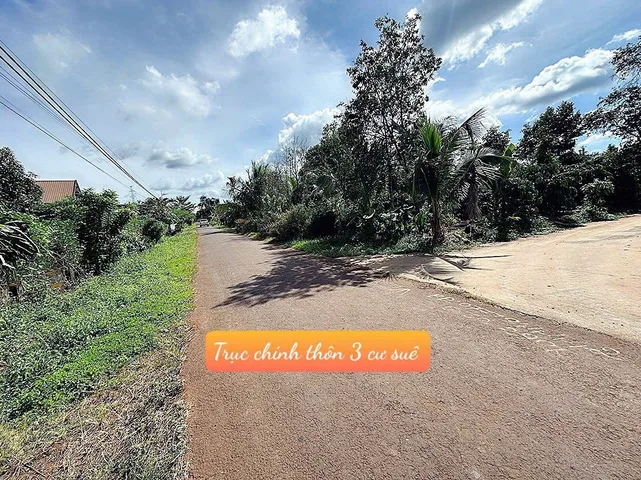 Bất động sản tại Đắk Lắk - ảnh 1